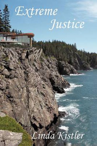 Cover image for Extreme Justice