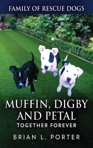 Muffin, Digby And Petal: Together Forever