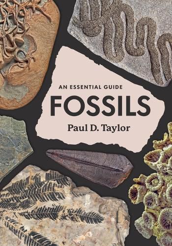 Fossils