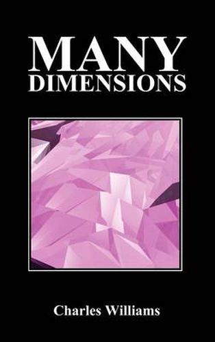 Cover image for Many Dimensions