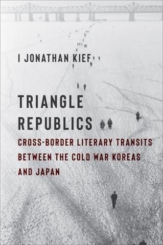 Cover image for Triangle Republics