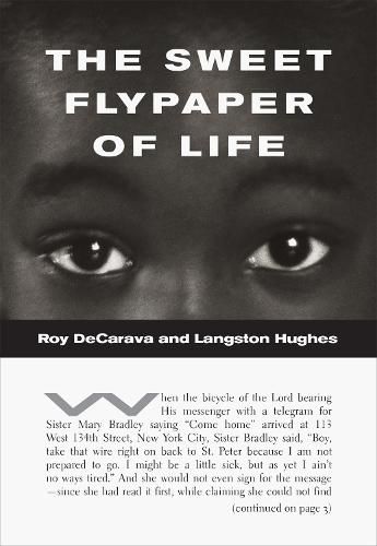 Cover image for The Sweet Flypaper of Life