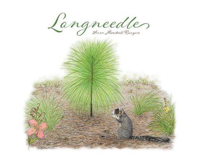 Cover image for Longneedle