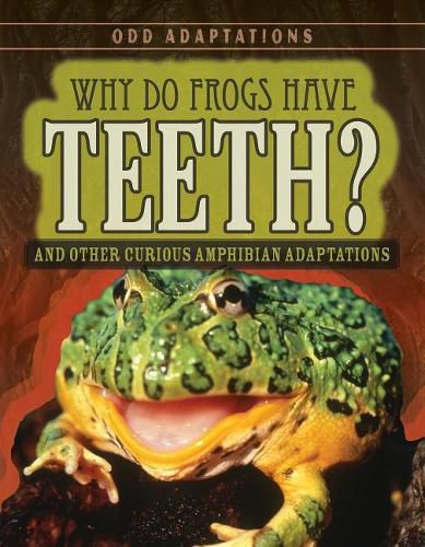 Cover image for Why Do Frogs Have Teeth?: And Other Curious Amphibian Adaptations