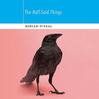 Cover image for The Half-Said Things