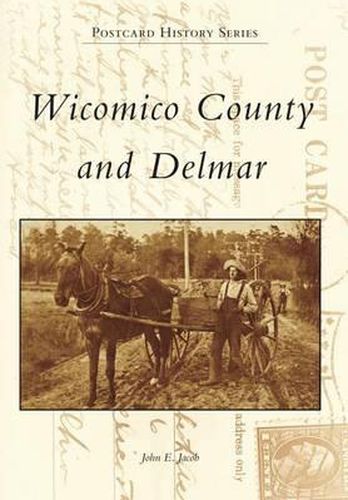 Cover image for Wicomico County