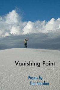 Cover image for Vanishing Point