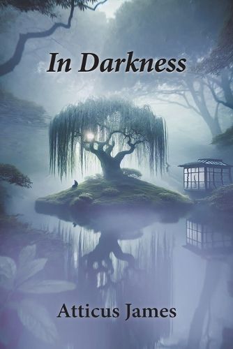 Cover image for In Darkness