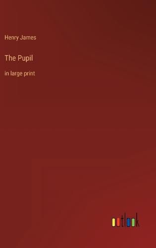 Cover image for The Pupil