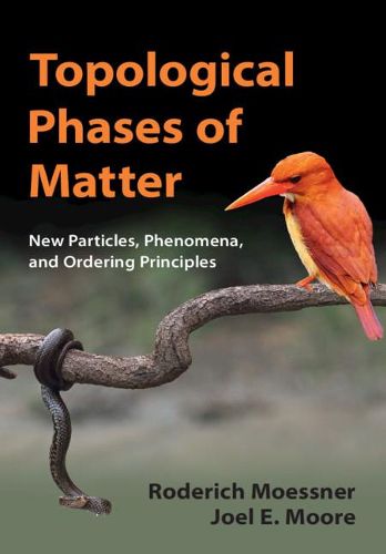 Cover image for Topological Phases of Matter