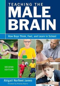 Cover image for Teaching the Male Brain: How Boys Think, Feel, and Learn in School
