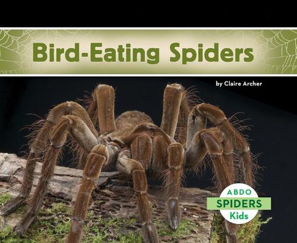 Cover image for Bird-Eating Spiders