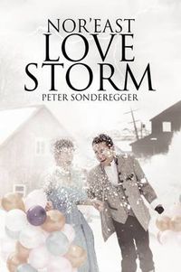 Cover image for Nor'east Love Storm