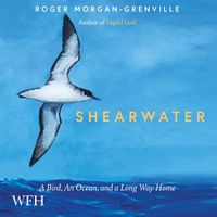 Cover image for Shearwater: A Bird, an Ocean, and a Long Way Home