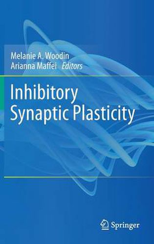 Inhibitory Synaptic Plasticity