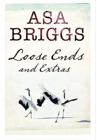Cover image for Loose Ends and Extras