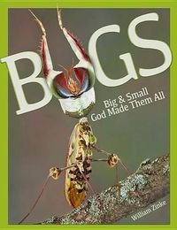 Cover image for Bugs Big & Small: God Made Them All