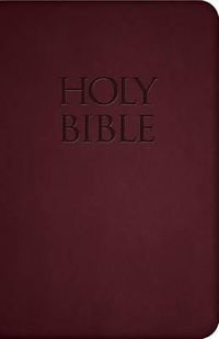 Cover image for Holy Bible-Nab