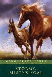Cover image for Stormy, Misty's Foal