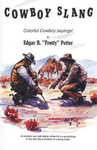 Cover image for Cowboy Slang