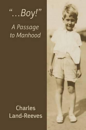 Cover image for ...Boy!  A Passage to Manhood