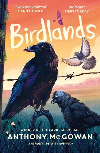 Cover image for Birdlands