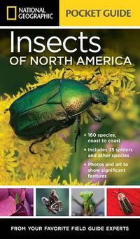 Cover image for National Geographic Pocket Guide to Insects of North America