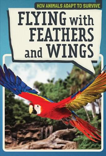 Flying with Feathers and Wings