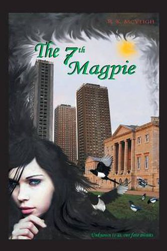 Cover image for The 7th Magpie