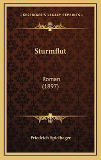 Cover image for Sturmflut: Roman (1897)