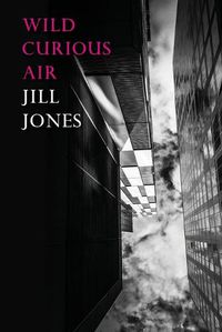 Cover image for Wild Curious Air