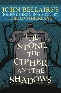 Cover image for The Stone, the Cipher, and the Shadows