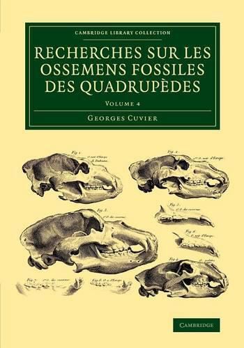 Recherches sur les ossemens fossiles des quadrupedes