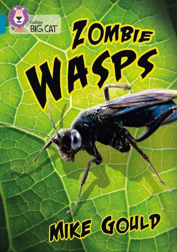 Cover image for Zombie Wasps: Band 13/Topaz