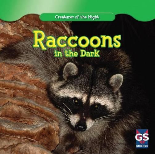 Cover image for Raccoons in the Dark