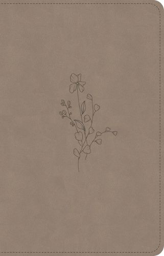 Cover image for CSB Personal Size Bible, Digital Study Edition, Earth Suedesoft Leathertouch