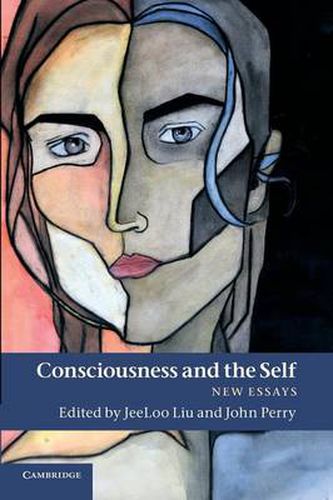 Cover image for Consciousness and the Self: New Essays