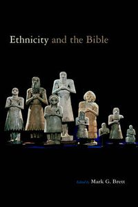 Cover image for Ethnicity and the Bible