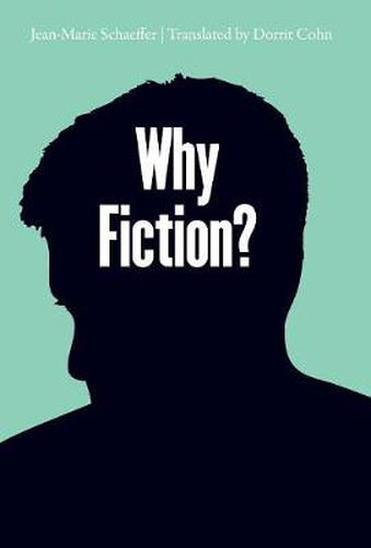 Cover image for Why Fiction?