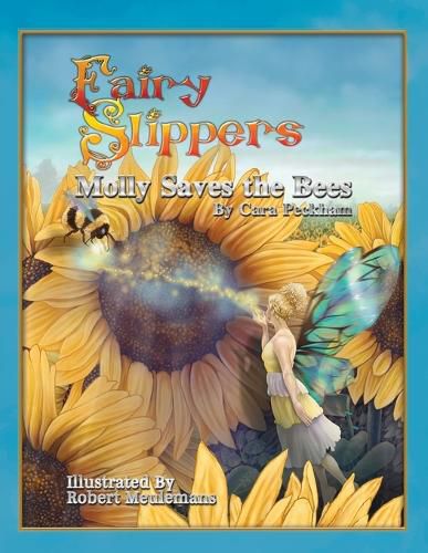 Cover image for Fairy Slippers