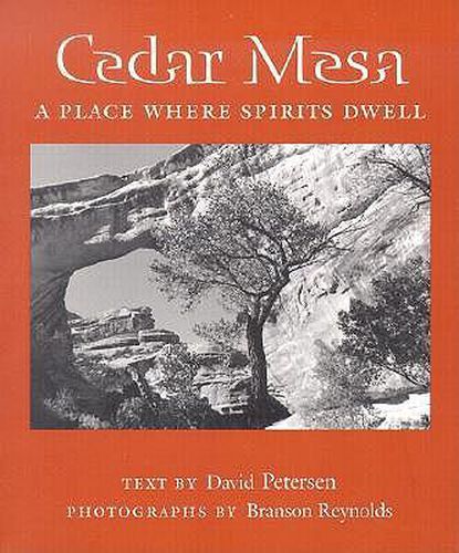 Cover image for Cedar Mesa: A Place Where Spirits Dwell