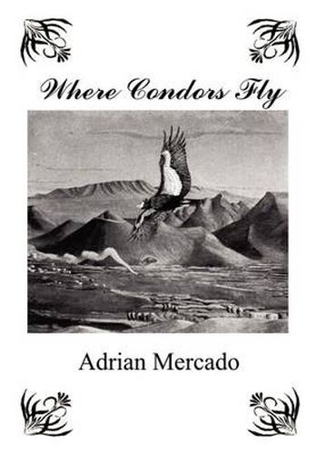 Cover image for Where Condors Fly