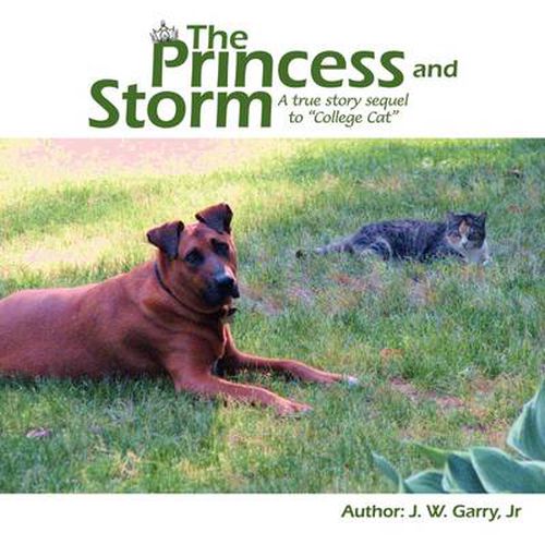 Cover image for The Princess and Storm