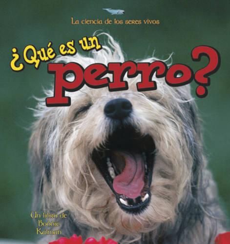 Cover image for Que es un Perro?