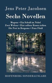 Cover image for Sechs Novellen