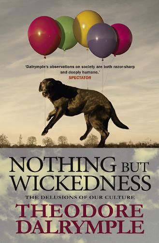 Cover image for Nothing but Wickedness: The Decline of Our Culture