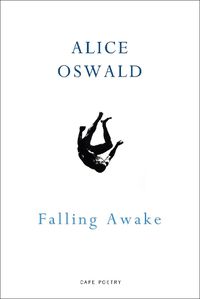 Cover image for Falling Awake