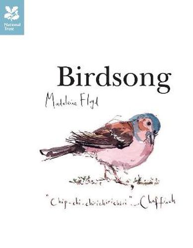 Cover image for Birdsong