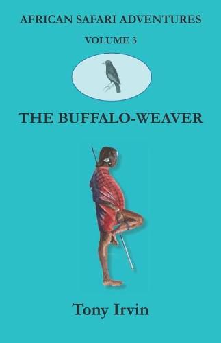 African Safari Adventures: The Buffalo-Weaver