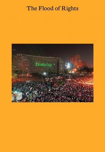 Cover image for The Flood of Rights